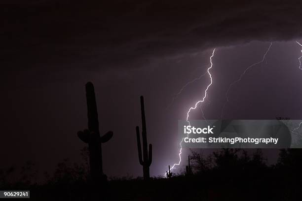 Foto de Relâmpago Greve No Deserto e mais fotos de stock de Cacto Gigante Americano - Cacto Gigante Americano, Chuva, Chuva Torrencial