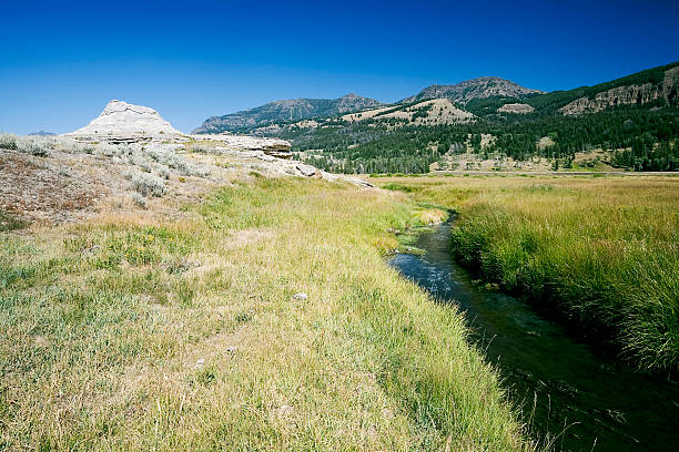 istock Soda Butte Creek, Yellowstone 90629745