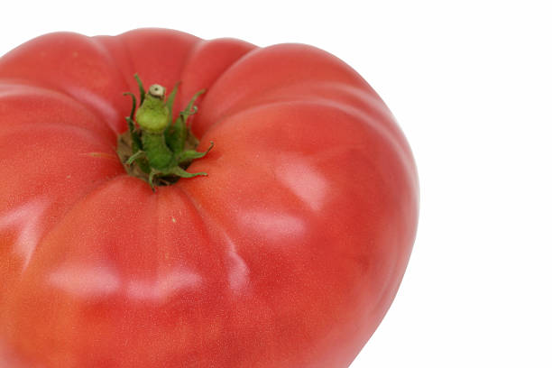 tomate - tomato beefsteak tomato heirloom tomato pink stock-fotos und bilder