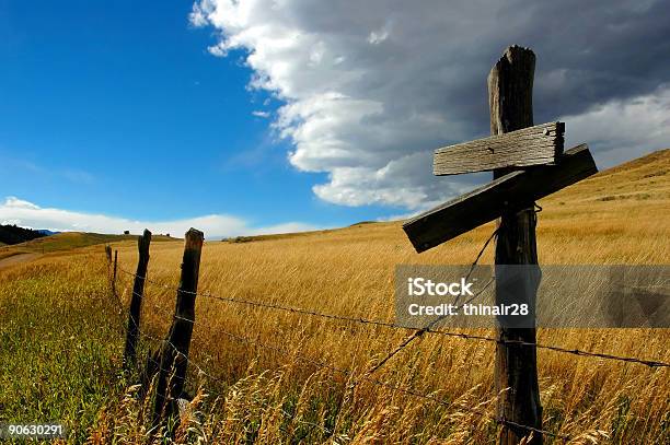 Solitário Poste - Fotografias de stock e mais imagens de Montana - Montana, Planície, Adversidade