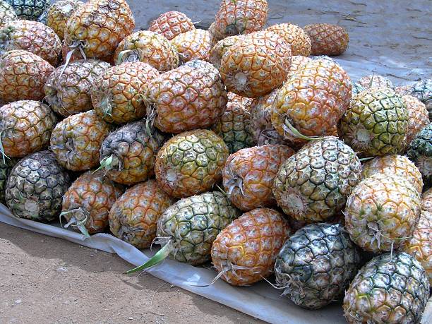 Pineapple stock photo