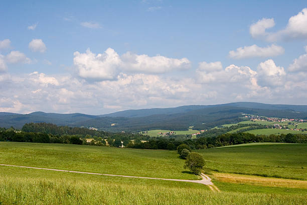 bayerische landschaft - alm bavaria mountain summer stock-fotos und bilder