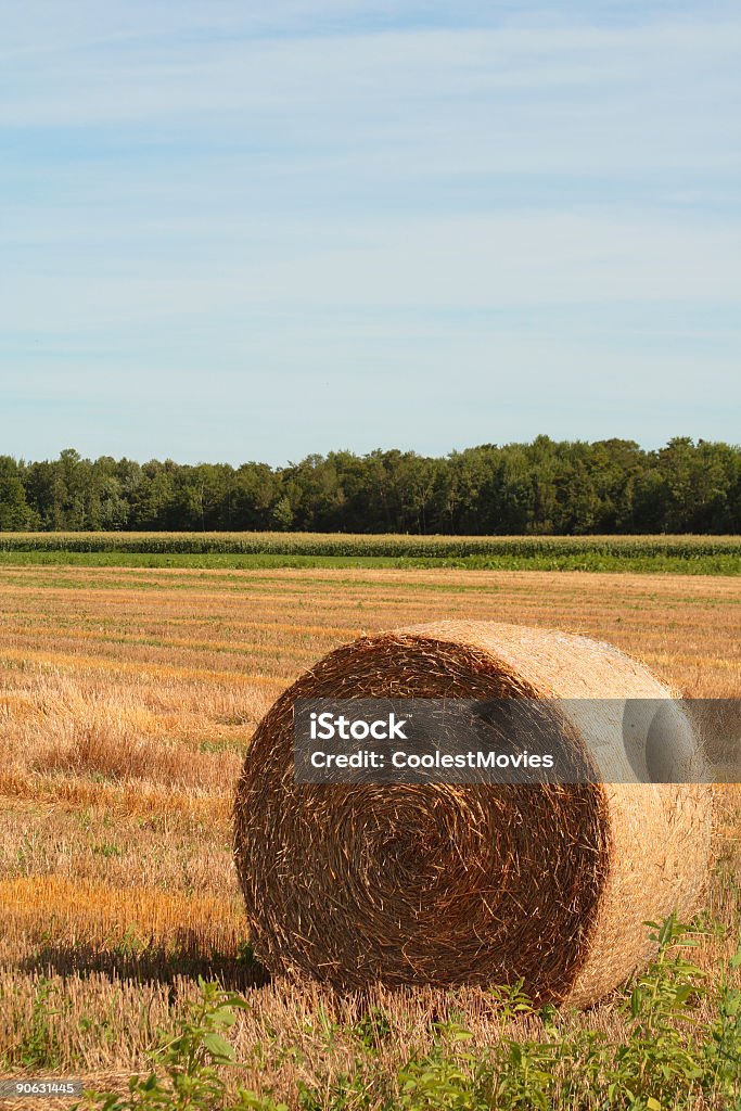 Verão outono Hayroll - Foto de stock de Agricultura royalty-free