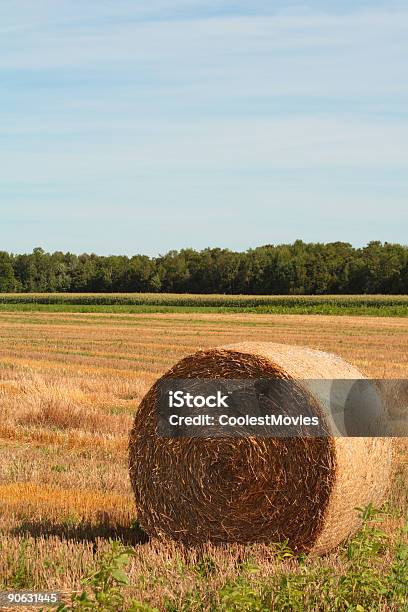 Foto de Verão Outono Hayroll e mais fotos de stock de Agricultura - Agricultura, Amarelo, Azul