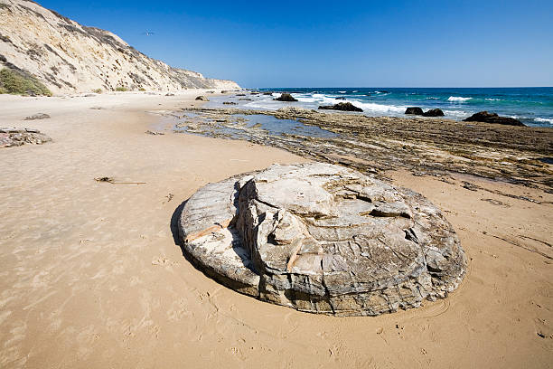 istock Round Rock on Californian Beach 90631509
