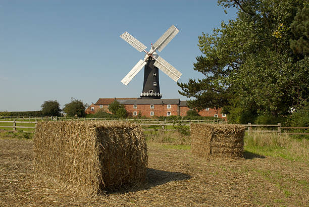 skidbymill35 - agricultural activity yorkshire wheat field imagens e fotografias de stock