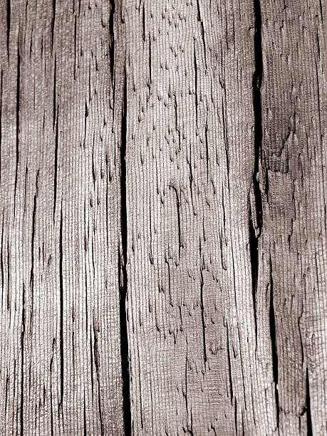istock Wood Plank, South Street Seaport 90631964