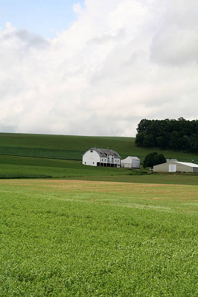 istock Green Field Farmland 90633888