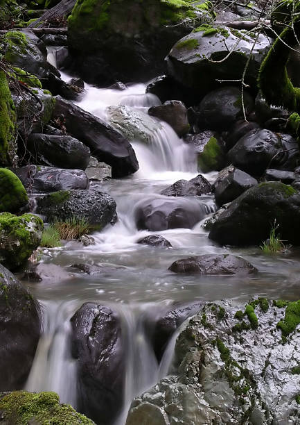 Creek de California - foto de stock