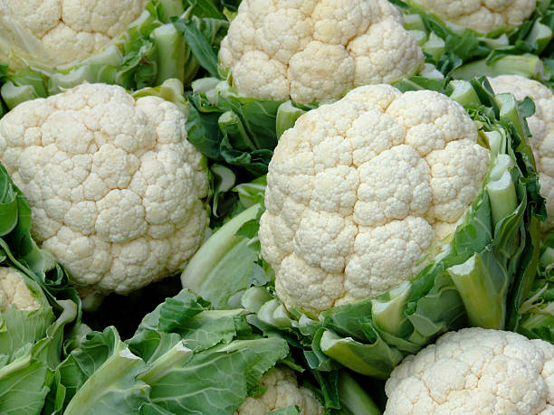 Close-up of several heads of cauliflower stock photo