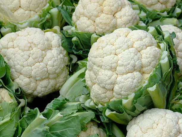 Photo of Close-up of several heads of cauliflower