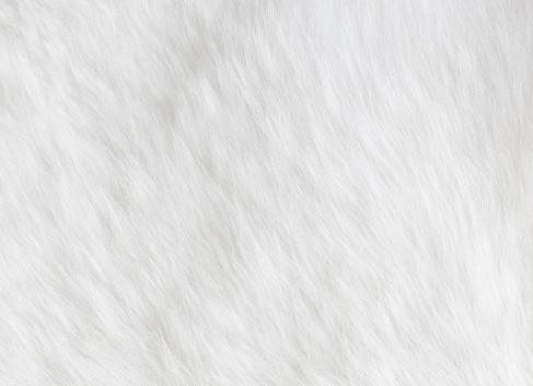 White sheepskin fur background
