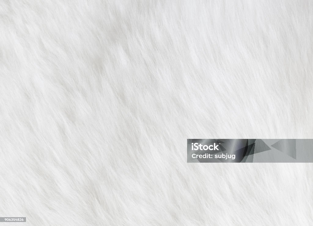 Sheepskin background White sheepskin fur background White Color Stock Photo