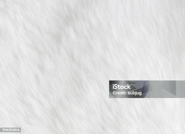 Sheepskin Background Stock Photo - Download Image Now - White Color, Animal Hair, Fur