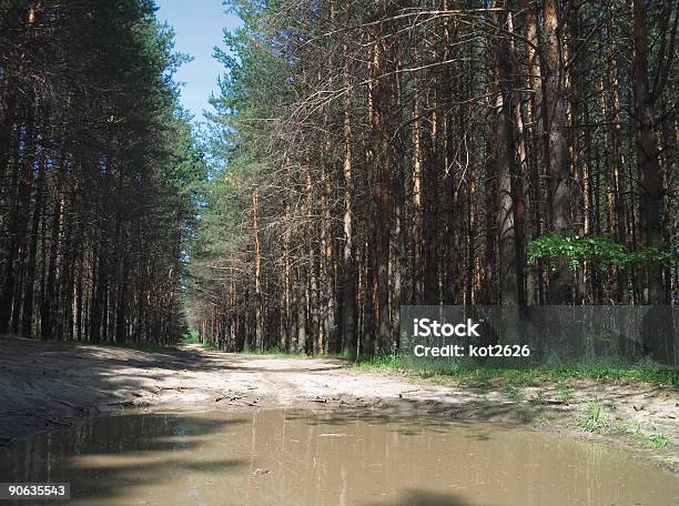 Legname Strada - Fotografie stock e altre immagini di A mezz'aria - A mezz'aria, Acqua, Aiuola