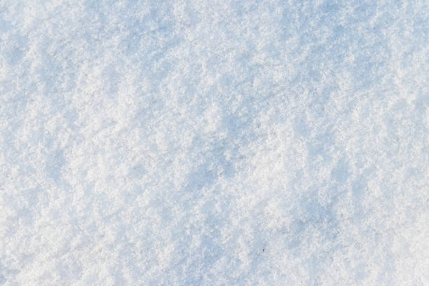 istock Texture of the white snow. Winter background 906357478
