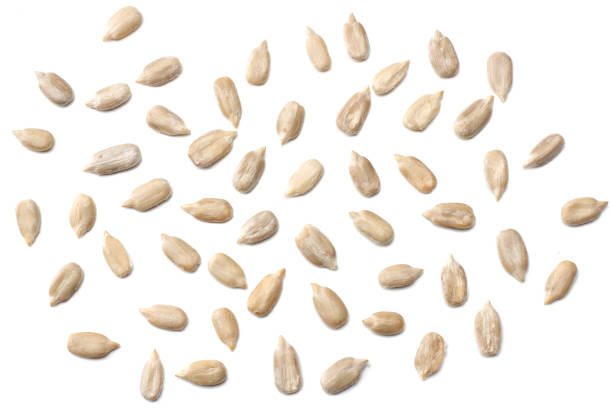 istock Sunflower seeds isolated on white background top view 906360764