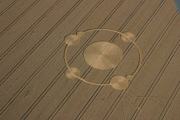 Crop circles in the field of wheat  crop circle stock pictures, royalty-free photos & images