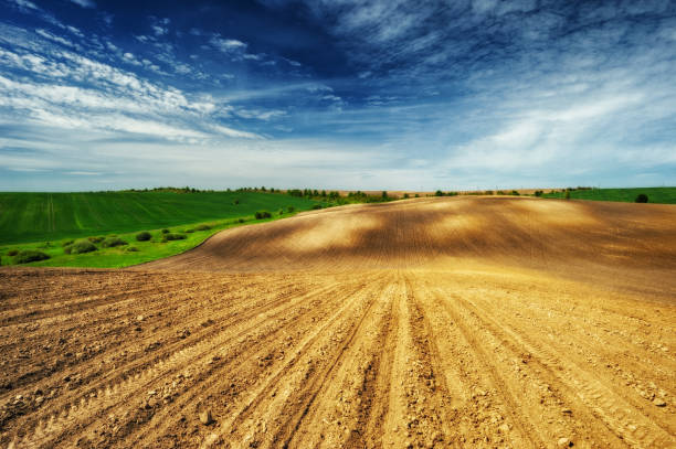 istock hilly field. picturesque hilly line 906365926