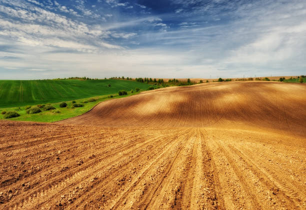 istock hilly field. picturesque hilly line 906366012