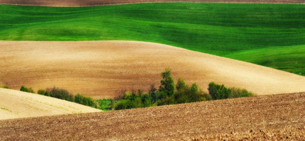 istock hilly field. picturesque hilly line 906366018