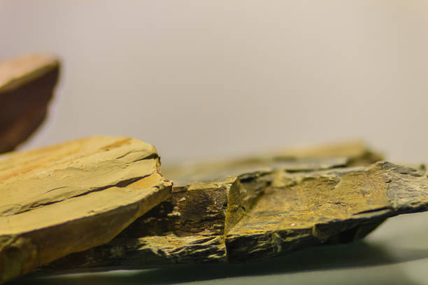 istock Shale mineral stone specimen from mining and quarrying industries. Shale is a fine-grained, clastic sedimentary rock composed of mud that is a mix of flakes of clay minerals. 906366072