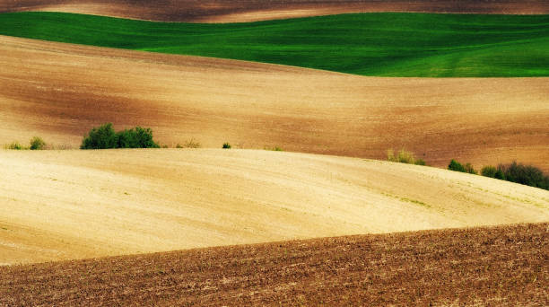 istock hilly field. picturesque hilly line 906366116