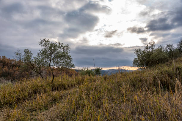 istock views of Basilicata landscapes 906367906