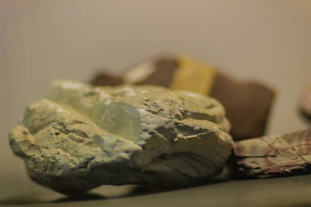 Mudstone stone specimen from mining and quarrying industries. Mudstone, a type of mudrock, is a fine-grained sedimentary rock whose original constituents were clays or muds.