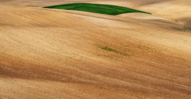 istock hilly field. picturesque hilly line 906368580
