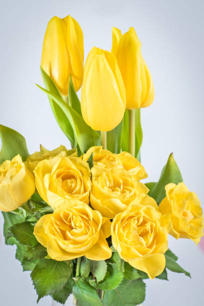 istock Fresh yellow roses and yellow tulips on a white bacground 906368964