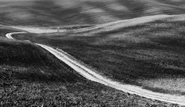 istock hilly field. picturesque hilly line 906371824