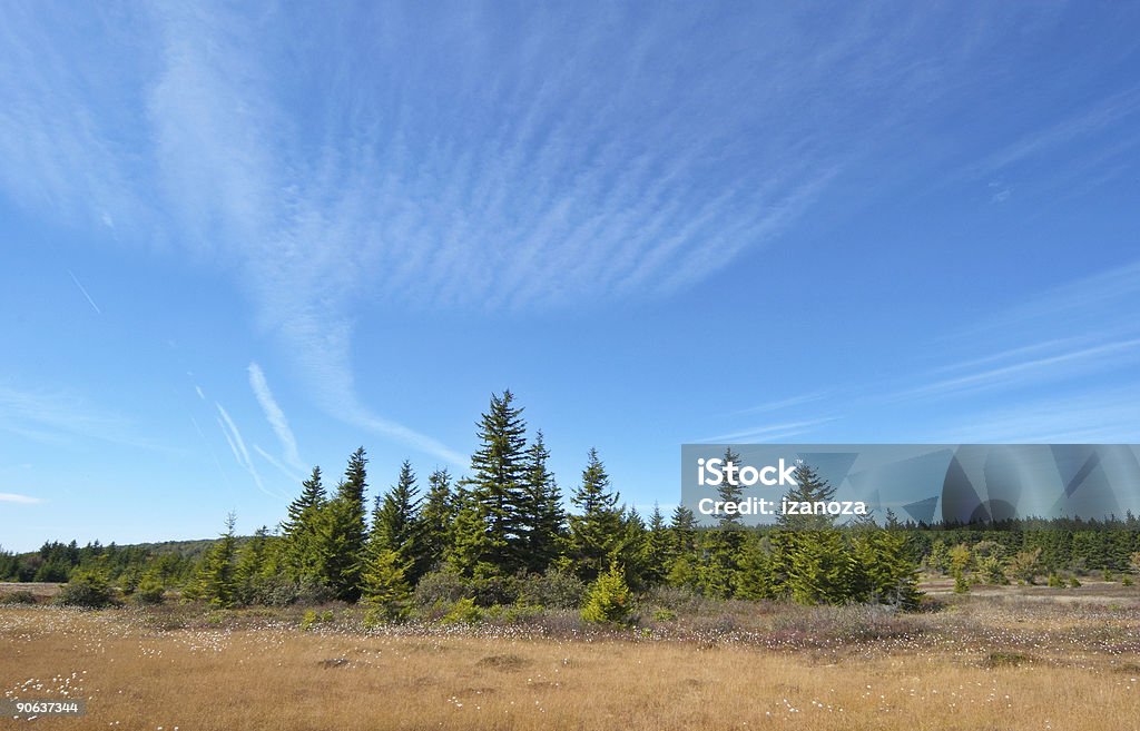 Blue 하늘 풍경 - 로열티 프리 0명 스톡 사진