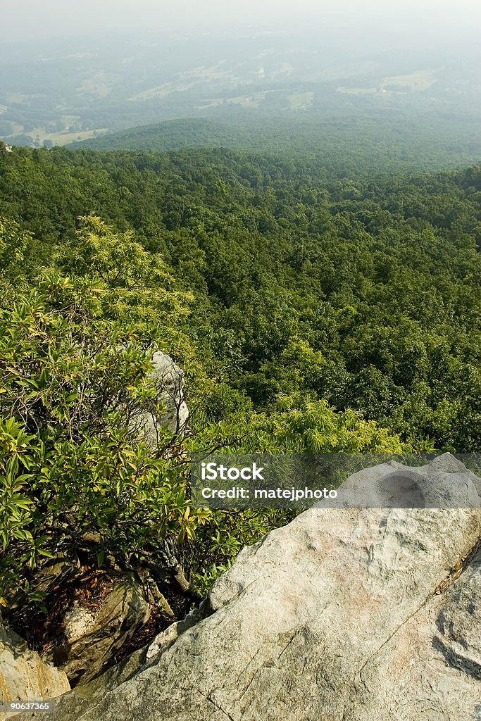 Pilot Mountain view - Foto stock royalty-free di Albero