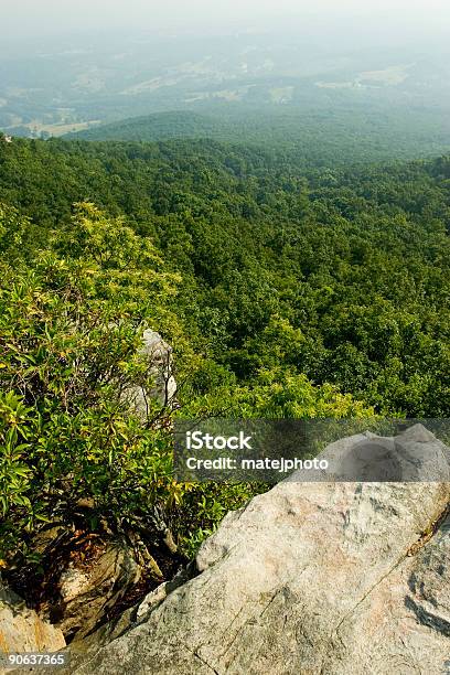 Pilot Mountain View - Fotografie stock e altre immagini di Albero - Albero, Albero sempreverde, Ambientazione esterna