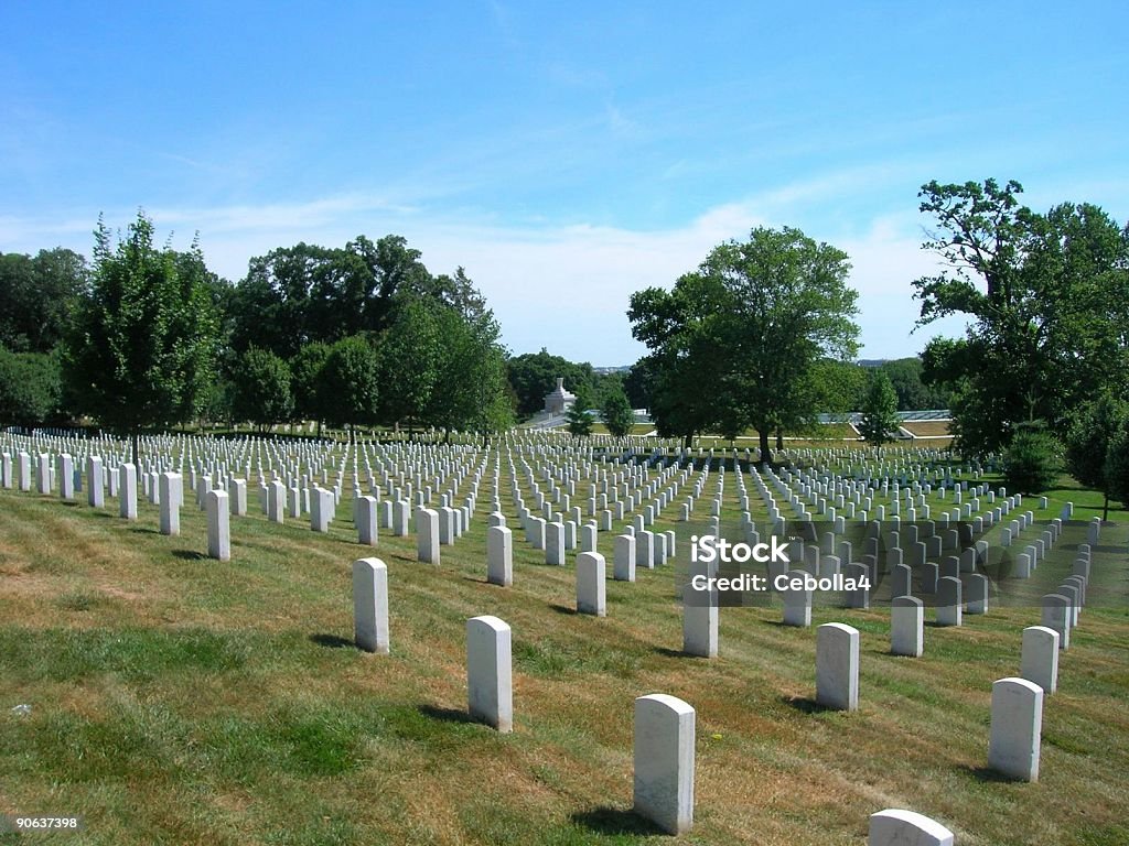 Cimetière d'Arlington - Photo de Arbre libre de droits