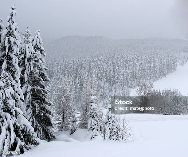 Foto de Paisagem De Inverno 03 e mais fotos de stock de Foco no primeiro plano - Foco no primeiro plano, Inverno, Árvore