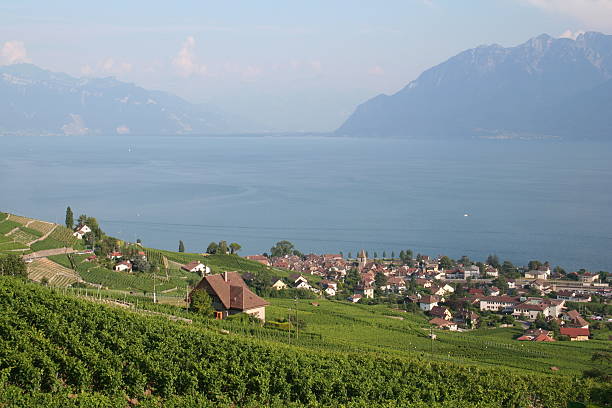 istock Cully, Lake Geneva and the Alps 90638693