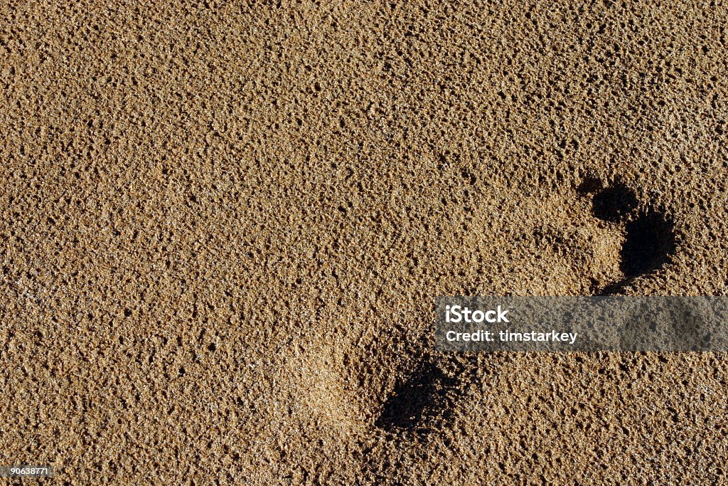 Huella en la playa - Foto de stock de Agua libre de derechos