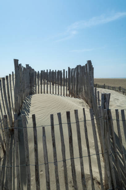 istock Nice white sand beach at Le Grau du Roi, France's Languedoc coast, is known as Plage de l'Espiguette near Port Camargue 906395874