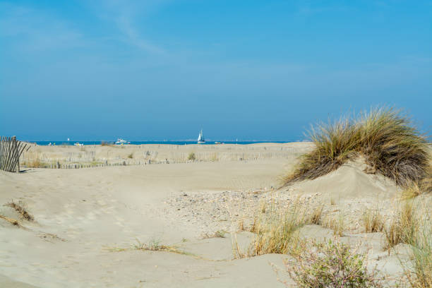 istock Nice white sand beach at Le Grau du Roi, France's Languedoc coast, is known as Plage de l'Espiguette near Port Camargue 906395900