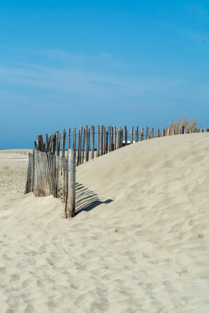 istock Nice white sand beach at Le Grau du Roi, France's Languedoc coast, is known as Plage de l'Espiguette near Port Camargue 906395920