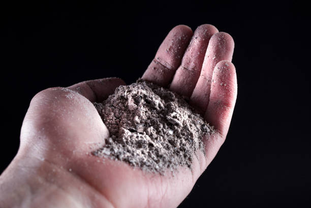 People hand holding gray ash stock photo