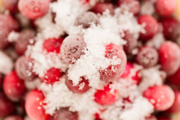 istock Snowy Frosted Red Cranberries 906402810