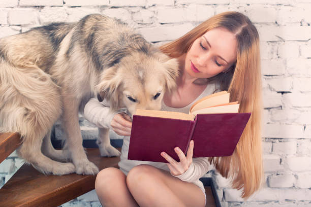 istock Reading girl and cute dog 906407528