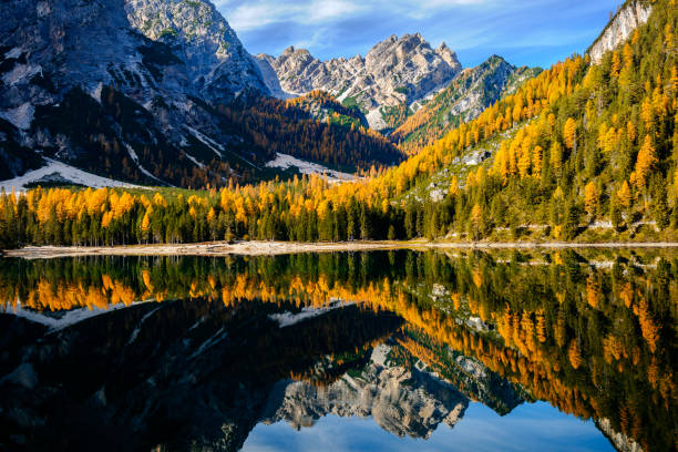 rocce di montagna e foresta autunnale riflessa nell'acqua del lago di braies, alpi dolomitiche, italia - larch tree stone landscape sky foto e immagini stock