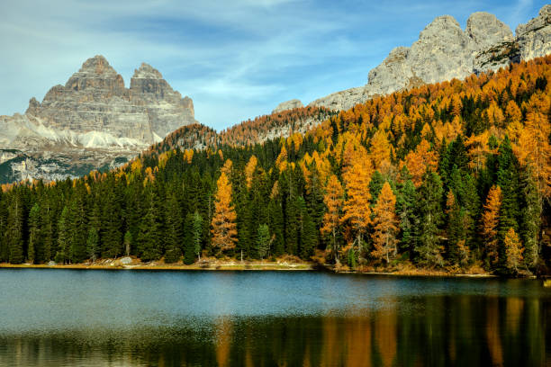 vista sul monte tre cime di lavaredo, lago di misurina, dolomiti, italia - larch tree stone landscape sky foto e immagini stock