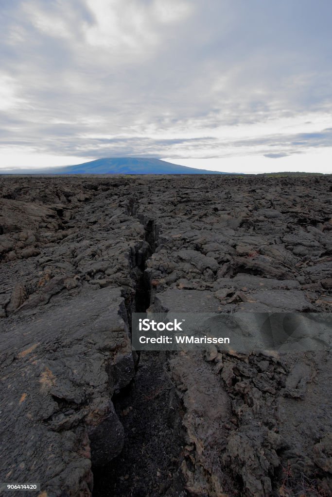 Lava rock landscape, Punta Moreno, Isabela island, Galapagos Islands, Ecuador Animal Wildlife Stock Photo