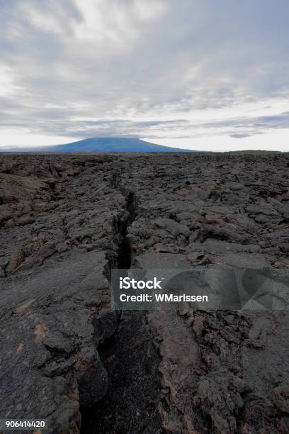 Lava Rock Landscape Punta Moreno Isabela Island Galapagos Islands Ecuador Stock Photo - Download Image Now