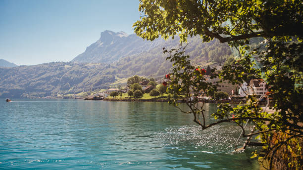 istock lucerne lake vierwaldstaettersee switzerland 906416912